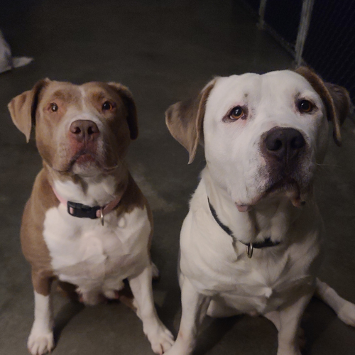 Brody and Hazel