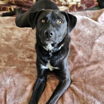 Check out my Profile