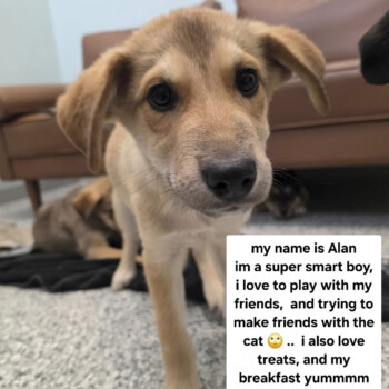 That Sweet Face