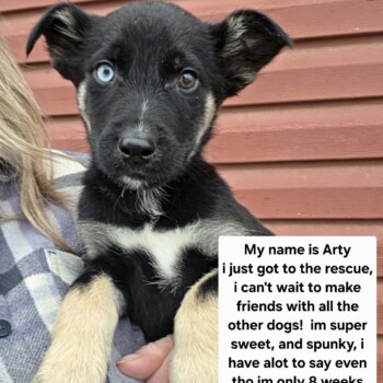 So, so cute