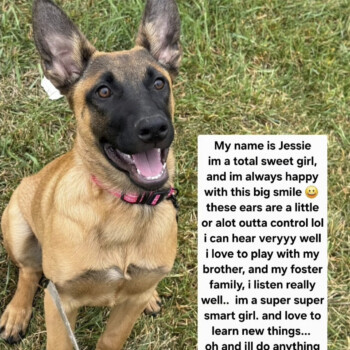 Look at those EARS