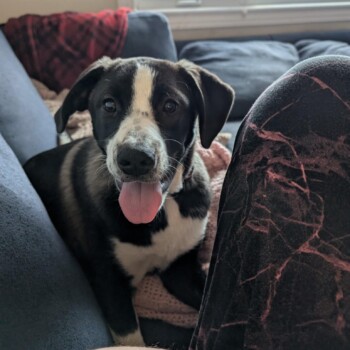 That Smile