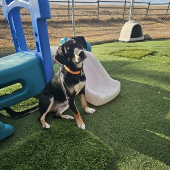 That cute little face