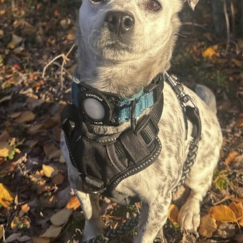 Look how dapper I am