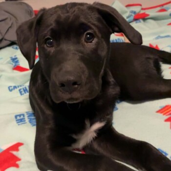 What a handsome fella