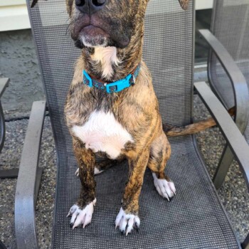 I am so Handsome
