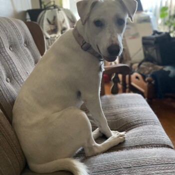 This girl is so sweet